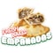 Signmission Fresh Baked Empanadas Decal Concession Stand Food Truck Sticker, D-DC-16 Fresh Baked Empanadas19 D-DC-16 Fresh Baked Empanadas19 - alternate 1